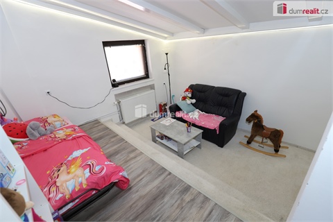 Prodej rodinného domu, 330 m² - 4