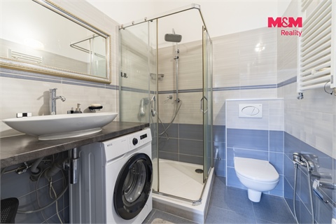 Prodej bytu 5+1, 340 m² - 20
