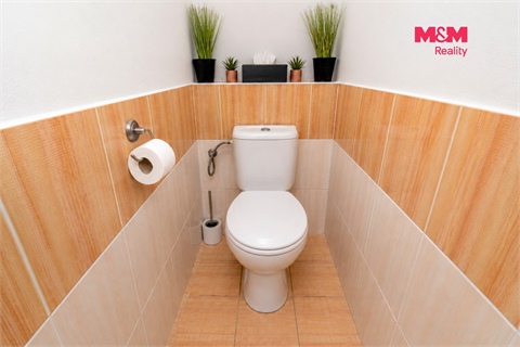 Prodej bytu 3+1, 67 m² 10