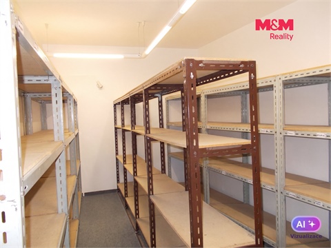 Pronájem obchodních prostor, 53 m² - 2
