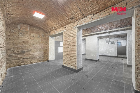 Prodej komerčního objektu, 110 m² - 16