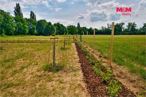 Prodej zahrady, 1 000 m² - 2