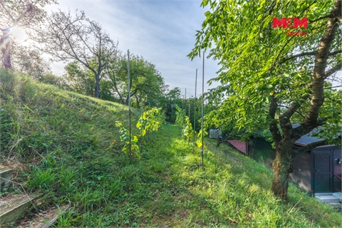 Prodej chaty / chapuly, 38 m² - 18