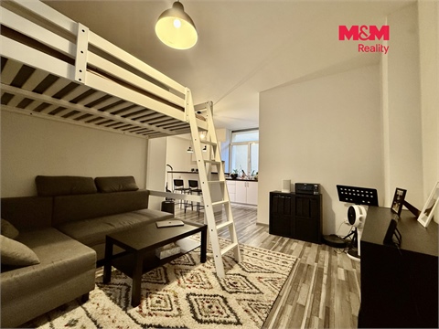 Pronájem bytu 1kk, 44 m² - 4
