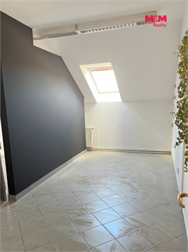 Pronájem obchodních prostor, 24 m² - 6