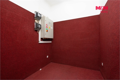 Prodej obchodních prostor, 324 m² - 8