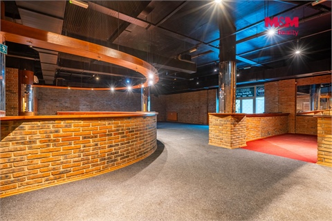 Prodej obchodních prostor, 324 m² - 2