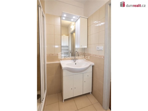 Pronájem bytu 1+1, 31 m² 10