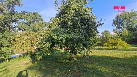 Prodej stavebního pozemku, 791 m² 2