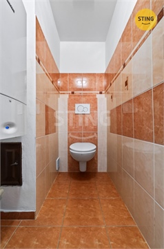 Prodej rodinného domu, 244 m² - 20