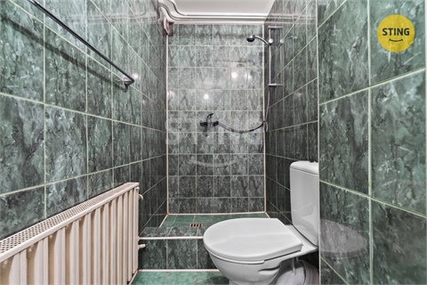 Prodej rodinného domu, 244 m² - 22