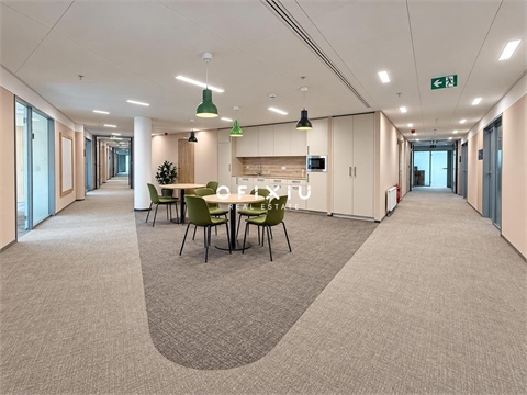 Pronájem kanceláře, 350 m² 2