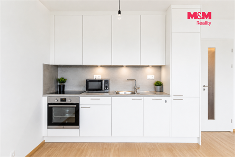Prodej bytu 1kk, 41 m² - 4