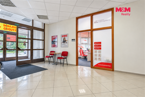 Prodej obchodních prostor, 750 m² - 0