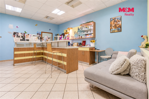 Prodej obchodních prostor, 750 m² - 4