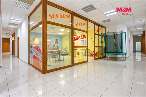 Prodej obchodních prostor, 750 m² - 12