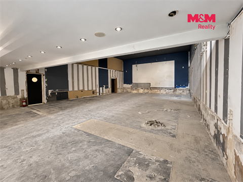 Pronájem obchodních prostor, 237 m² - 2
