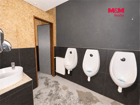Pronájem obchodních prostor, 237 m² 14