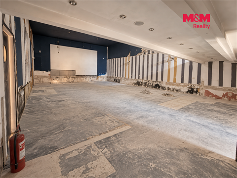 Pronájem obchodních prostor, 237 m² 2