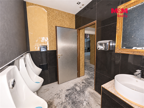 Pronájem obchodních prostor, 237 m² - 14