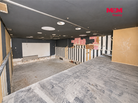 Pronájem obchodních prostor, 237 m² - 8