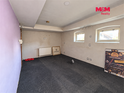 Pronájem obchodních prostor, 237 m² - 10