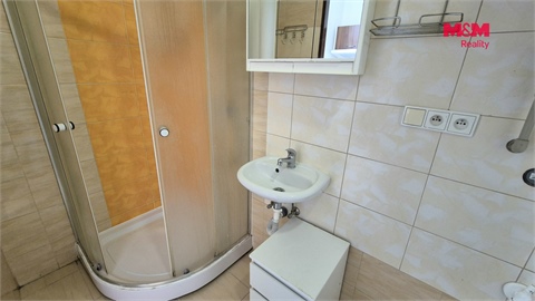 Pronájem bytu 2+1, 56 m² 12