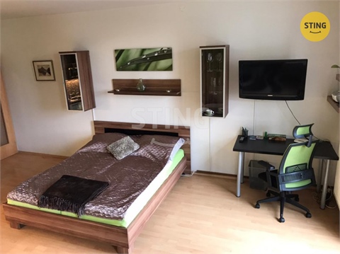 Pronájem bytu 1kk, 44 m² - 4