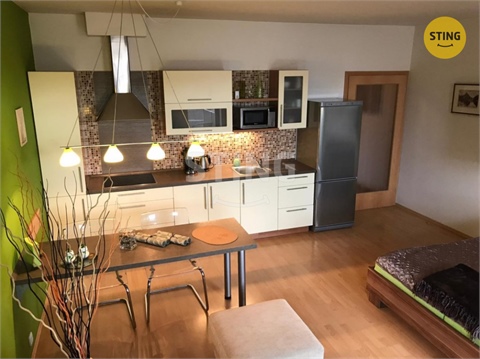 Pronájem bytu 1kk, 44 m² - 0