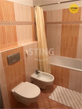Pronájem bytu 1kk, 44 m² 6