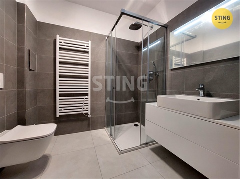 Pronájem bytu 2kk, 65 m² 8