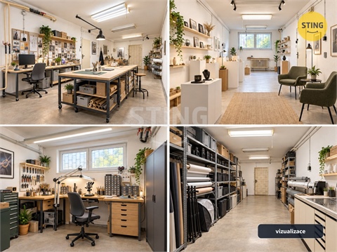 Pronájem obchodních prostor, 55 m² - 8