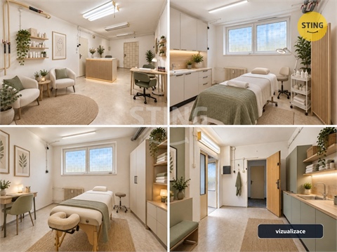 Pronájem obchodních prostor, 55 m² - 6