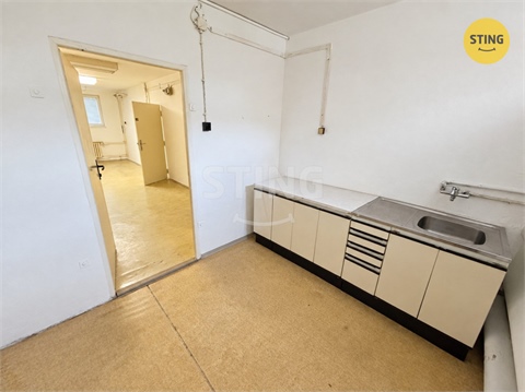 Pronájem obchodních prostor, 55 m² - 0