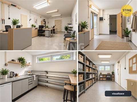 Pronájem obchodních prostor, 55 m² 6