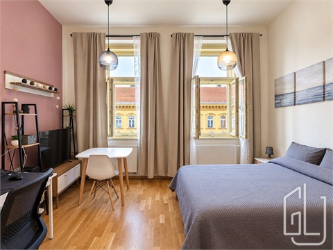 Pronájem bytu 1kk, 32 m² 4