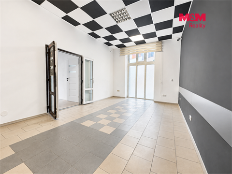 Pronájem obchodních prostor, 110 m² - 10