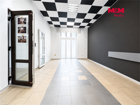 Pronájem obchodních prostor, 110 m² - 8