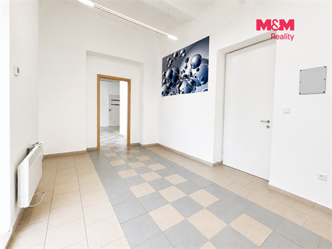 Pronájem obchodních prostor, 110 m² - 14