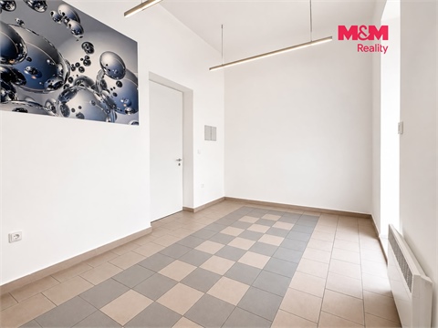 Pronájem obchodních prostor, 110 m² - 4
