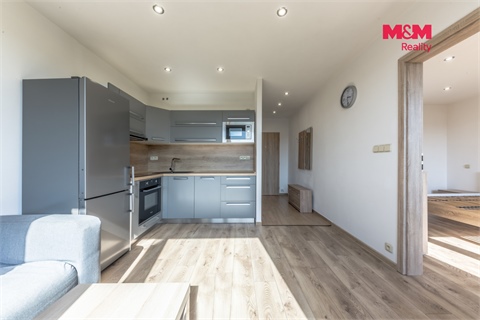 Pronájem bytu 1+1, 36 m² 2