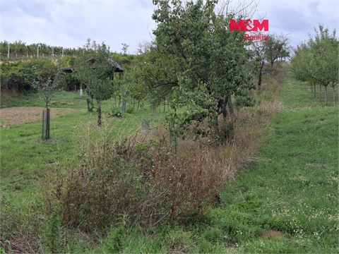 Prodej zemědělské půdy, 610 m² 0