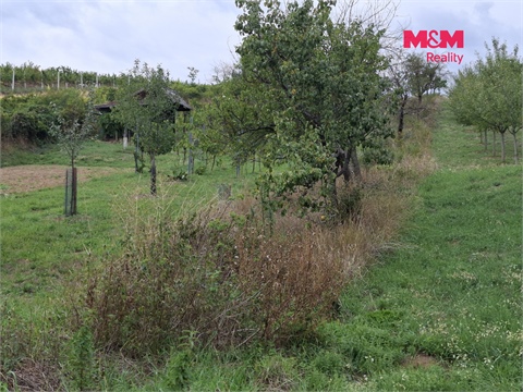Prodej zemědělské půdy, 610 m² - 2