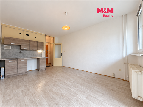 Prodej bytu 1kk, 21 m² 0