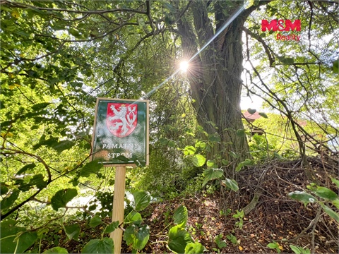 Prodej zemědělského objektu, 750 m² 6