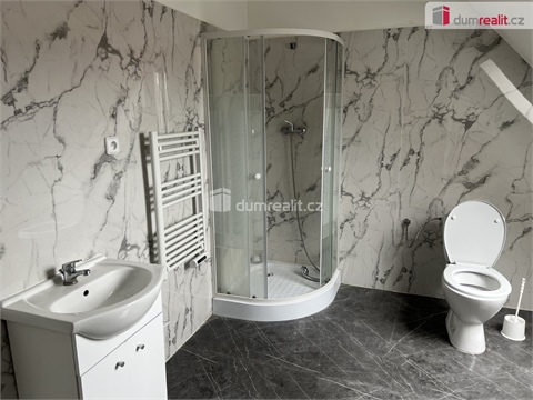 Prodej rodinného domu, 249 m² - 8