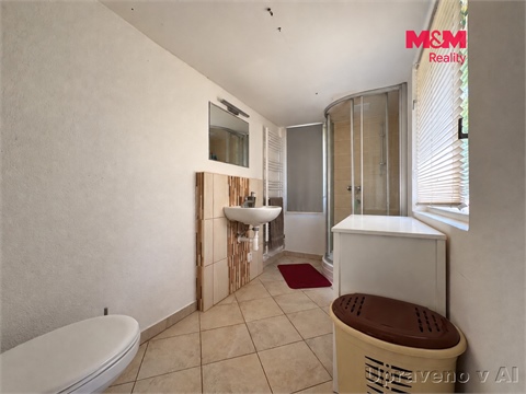 Prodej rodinného domu, 226 m² - 10