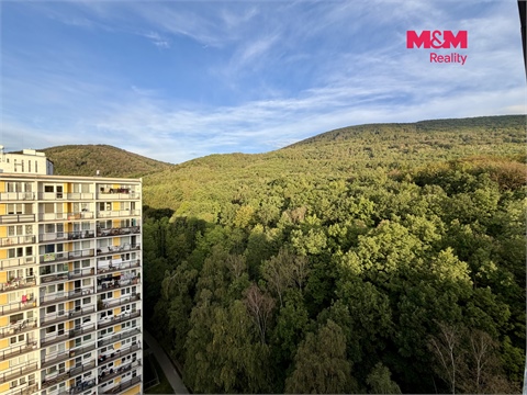Prodej bytu 2+1, 57 m² 10