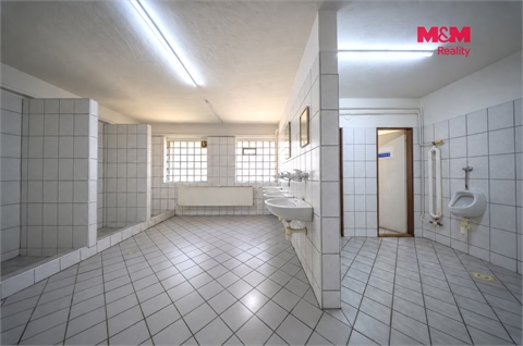 Prodej obchodních prostor, 483 m² 22