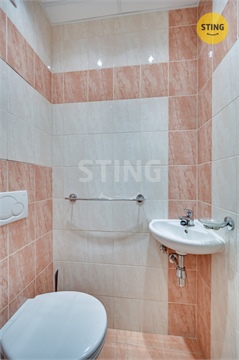 Prodej bytu 2+1, 55 m² 22